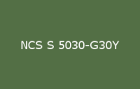 BELUPOL 080 Polymer NCS S 5030 G30Y