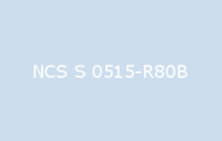 BELUPOL 080 Polymer NCS S 0515 R80B