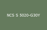 BELUPOL 080 Polymer NCS S 5020 G30Y