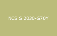 BELUPOL 080 Polymer NCS S 2030 G70Y