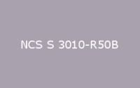 BELUPOL 080 Polymer NCS S 3010 R50B