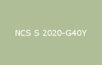 BELUPOL 080 Polymer NCS S 2020 G40Y