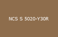 BELUPOL 080 Polymer NCS S 5020 Y30R