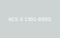 BELUPOL 080 Polymer NCS S 1502 B50G