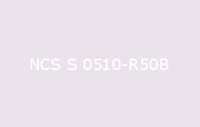 BELUPOL 080 Polymer NCS S 0510 R50B