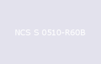 BELUPOL 080 Polymer NCS S 0510 R60B
