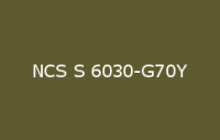 BELUPOL 080 Polymer NCS S 6030 G70Y