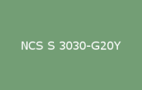BELUPOL 080 Polymer NCS S 3030 G20Y