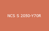 BELUPOL 080 Polymer NCS S 2050 Y70R