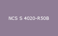 BELUPOL 080 Polymer NCS S 4020 R50B