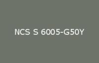 BELUPOL 080 Polymer NCS S 6005 G50Y