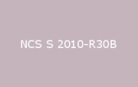 BELUPOL 080 Polymer NCS S 2010 R30B