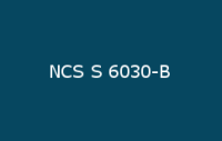 BELUPOL 080 Polymer NCS S 6030 B