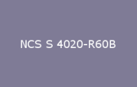 BELUPOL 080 Polymer NCS S 4020 R60B