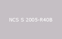 BELUPOL 080 Polymer NCS S 2005 R40B