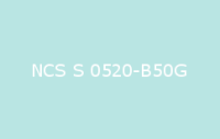 BELUPOL 080 Polymer NCS S 0520 B50G