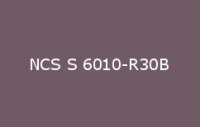 BELUPOL 080 Polymer NCS S 6010 R30B