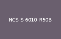 BELUPOL 080 Polymer NCS S 6010 R50B