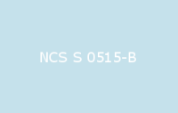 BELUPOL 080 Polymer NCS S 0515 B