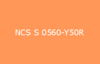 BELUPOL 080 Polymer NCS S 0560 Y50R