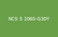 BELUPOL 080 Polymer NCS S 2060 G30Y