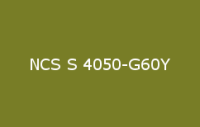 BELUPOL 080 Polymer NCS S 4050 G60Y
