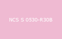 BELUPOL 080 Polymer NCS S 0530 R30B