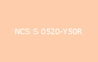 BELUPOL 080 Polymer NCS S 0520 Y50R