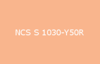 BELUPOL 080 Polymer NCS S 1030 Y50R