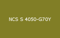 BELUPOL 080 Polymer NCS S 4050 G70Y