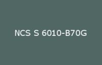 BELUPOL 080 Polymer NCS S 6010 B70G