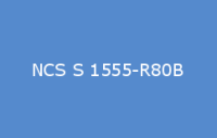 BELUPOL 080 Polymer NCS S 1555 R80B