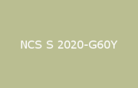 BELUPOL 080 Polymer NCS S 2020 G60Y