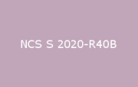 BELUPOL 080 Polymer NCS S 2020 R40B