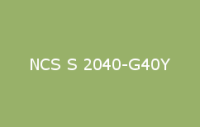 BELUPOL 080 Polymer NCS S 2040 G40Y