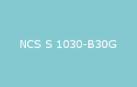 BELUPOL 080 Polymer NCS S 1030 B30G