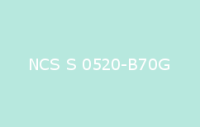 BELUPOL 080 Polymer NCS S 0520 B70G