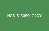 BELUPOL 080 Polymer NCS S 3050 G20Y