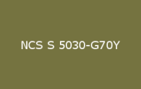 BELUPOL 080 Polymer NCS S 5030 G70Y