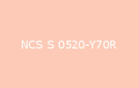 BELUPOL 080 Polymer NCS S 0520 Y70R