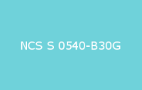 BELUPOL 080 Polymer NCS S 0540 B30G