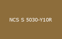 BELUPOL 080 Polymer NCS S 5030 Y10R