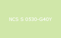 BELUPOL 080 Polymer NCS S 0530 G40Y