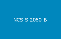 BELUPOL 080 Polymer NCS S 2060 B