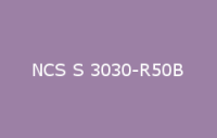 BELUPOL 080 Polymer NCS S 3030 R50B