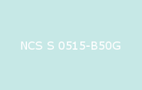 BELUPOL 080 Polymer NCS S 0515 B50G