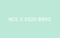 BELUPOL 080 Polymer NCS S 0520 B90G