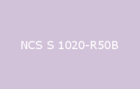 BELUPOL 080 Polymer NCS S 1020 R50B