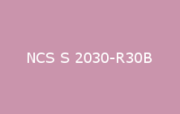 BELUPOL 080 Polymer NCS S 2030 R30B