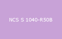 BELUPOL 080 Polymer NCS S 1040 R50B